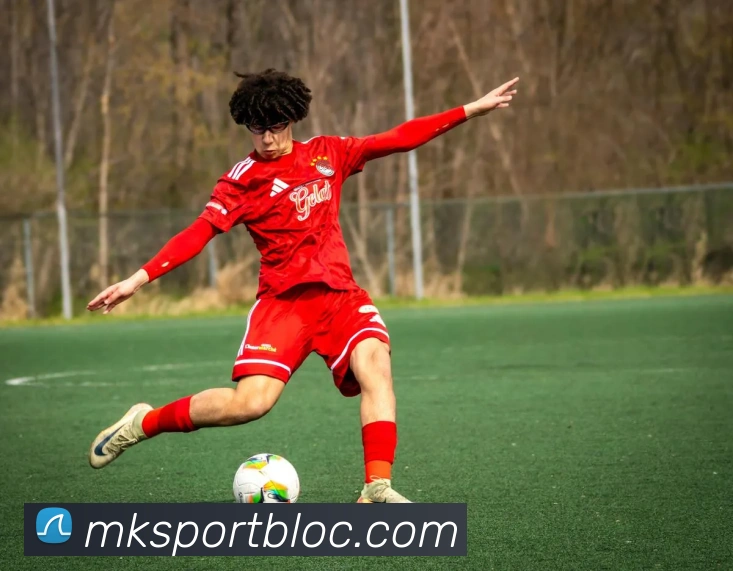 MK体育APP 封面图